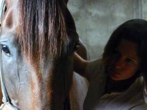 Amélie Gardelle traitant un cheval